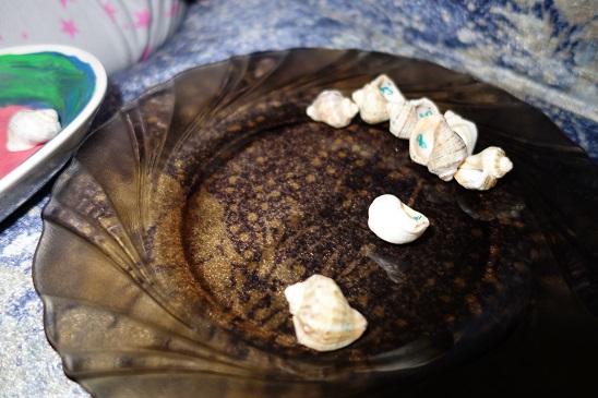 Лотерея 23. Ракушки.