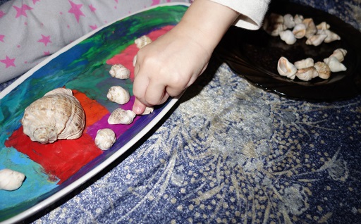 Лотерея 23. Ракушки.