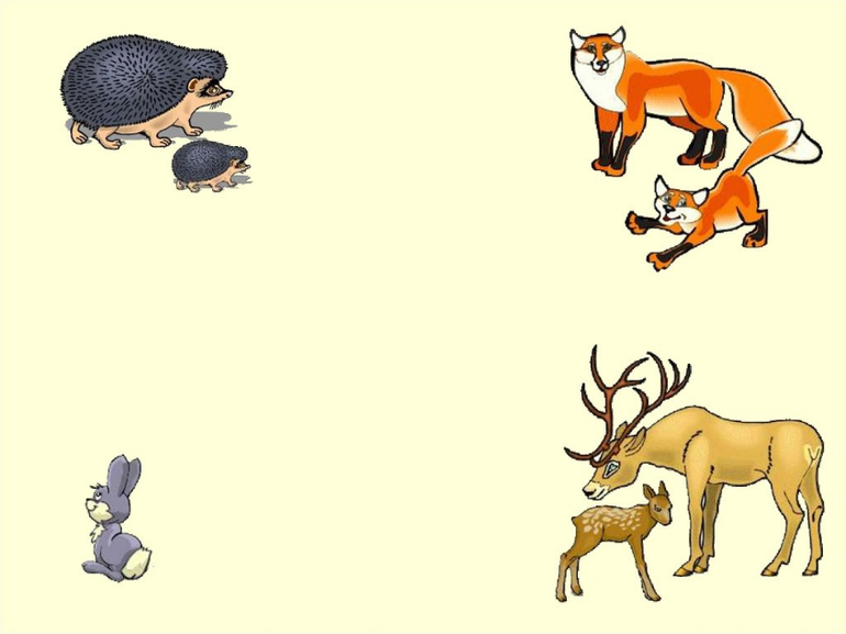 Тема дикие животные цель