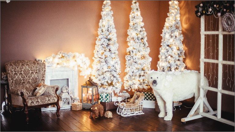 Новогодние и Рождественские фотосессии для детей и взрослых