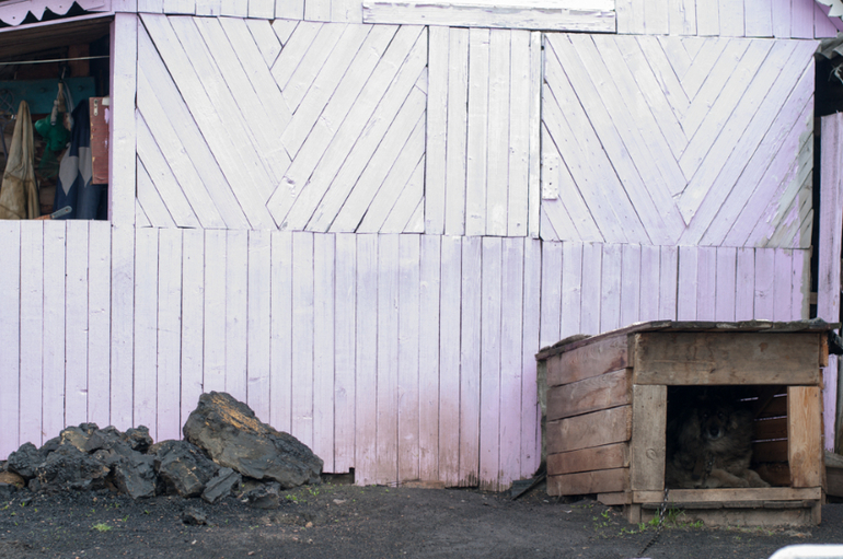 в деревне (фото)