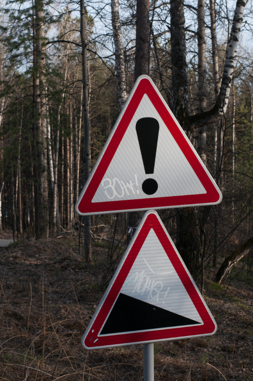 День 10 формирования привычек. фото