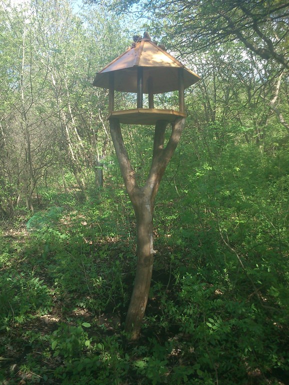 Дела семейные, дела счастливые:)