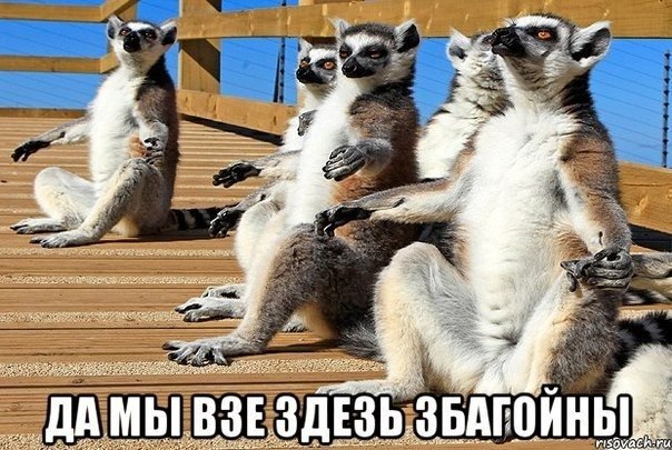 2b709b4b012d23ba961f61cda1a81dfc.jpg