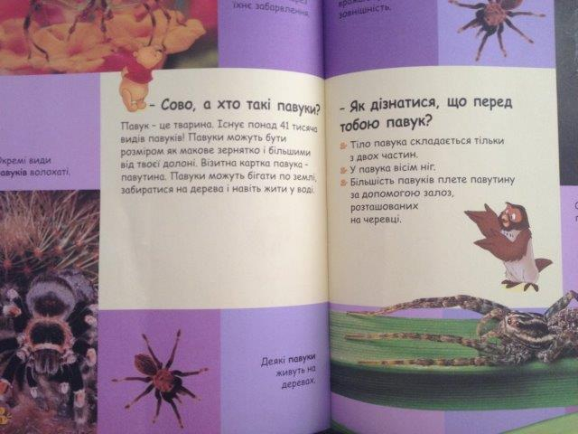 Паук