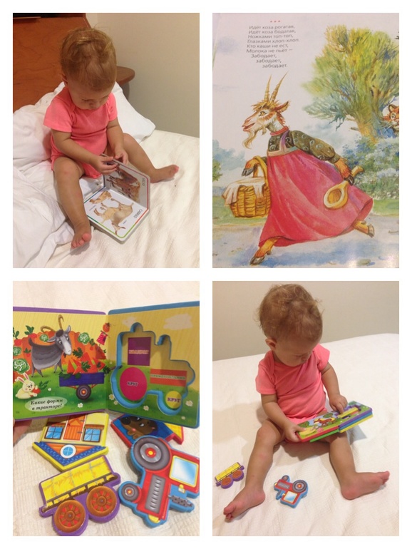 ТН Скотный двор, день 2 - коза