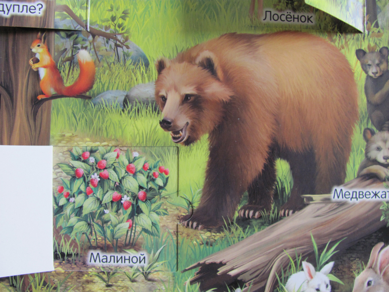 Животные -любимая книжка с окошками, НЕ АРКЕБУС))