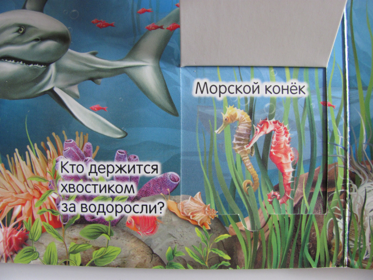 Животные -любимая книжка с окошками, НЕ АРКЕБУС))