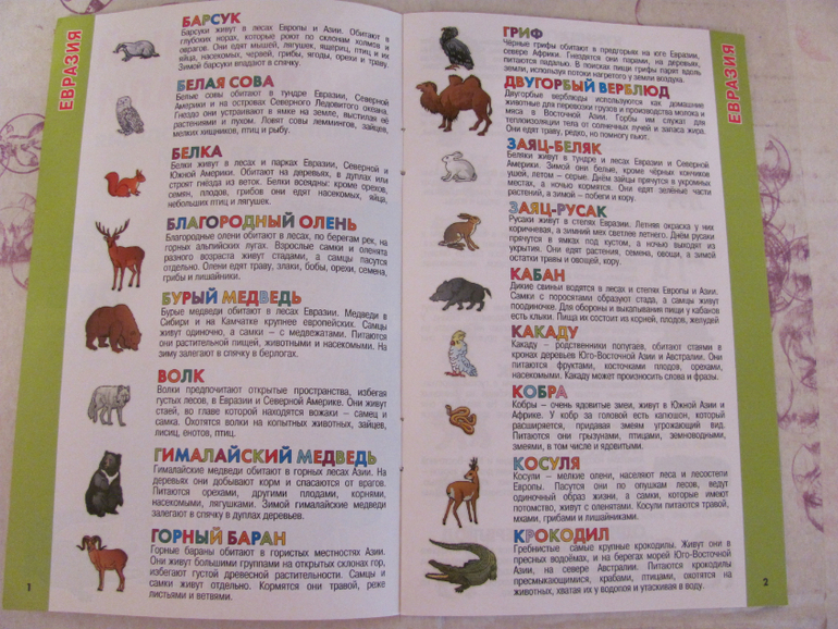 Глобус для первого знакомства с миром