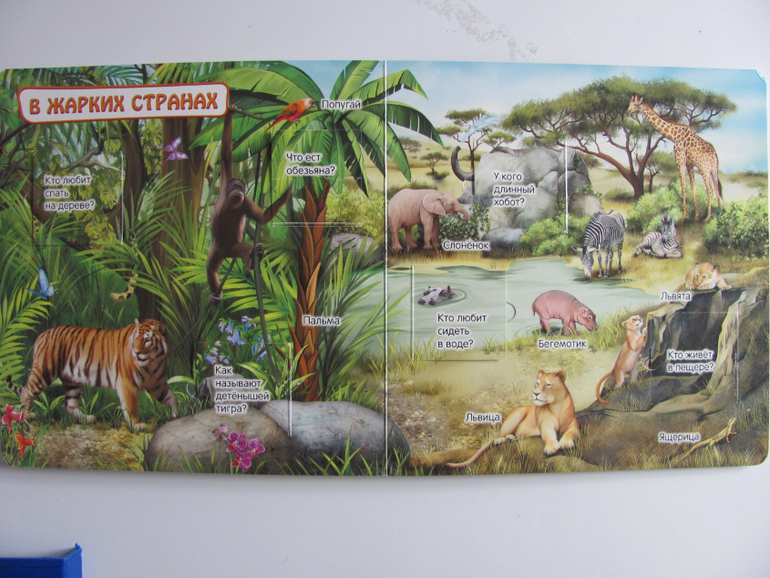 Животные -любимая книжка с окошками, НЕ АРКЕБУС))