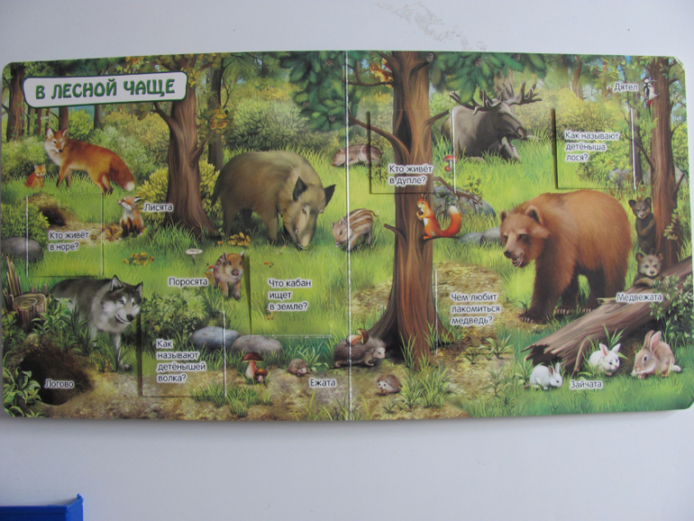 Животные -любимая книжка с окошками, НЕ АРКЕБУС))