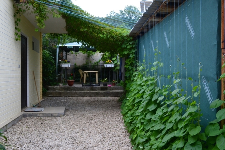 сдается дом в кацивели