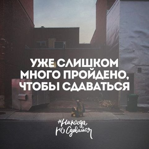 Никогда не сдавайся