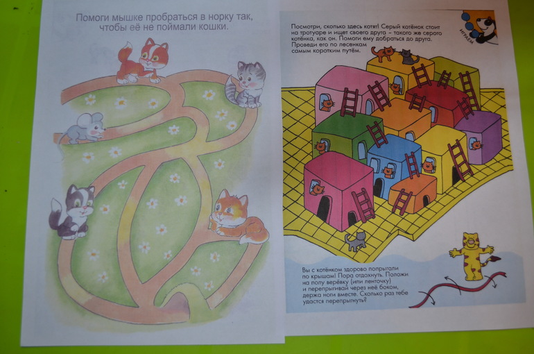 ТН Коты и кошечки