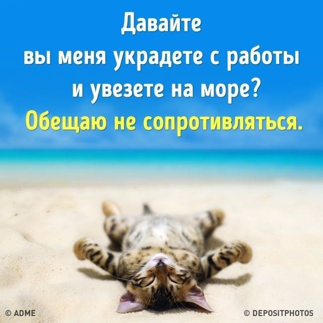 Прикольная картинка, открытки не хочу больше работать хочу на море
