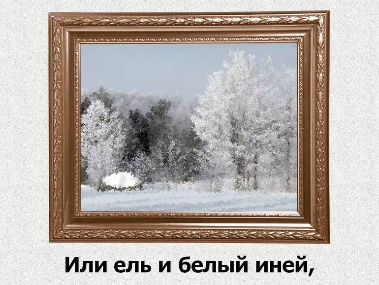 Из любимого