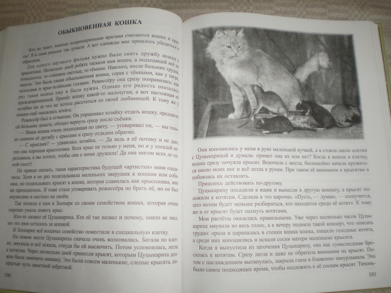 Наша Чаплина