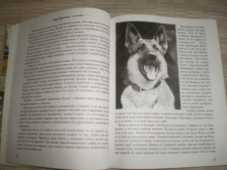 Наша Чаплина