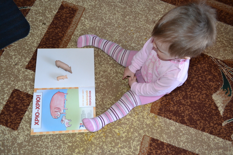 ТЗ Поросенок