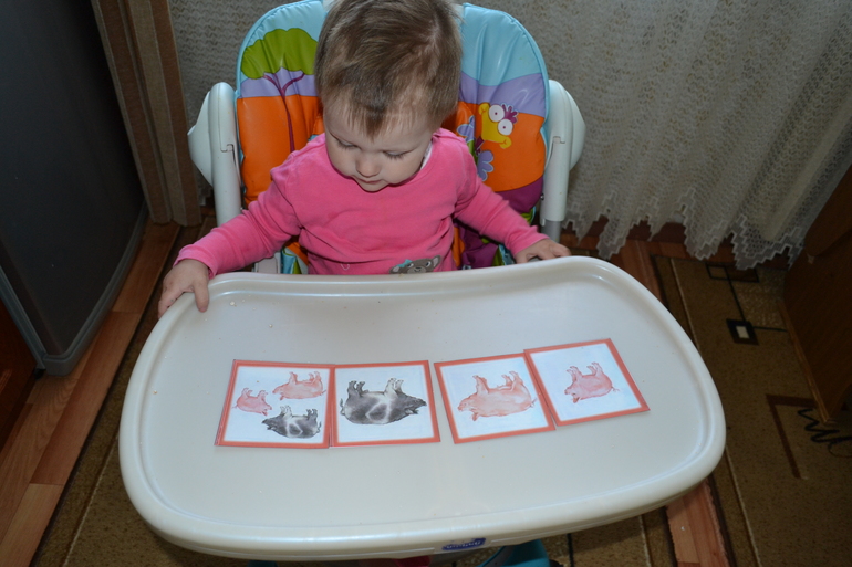 ТЗ Поросенок