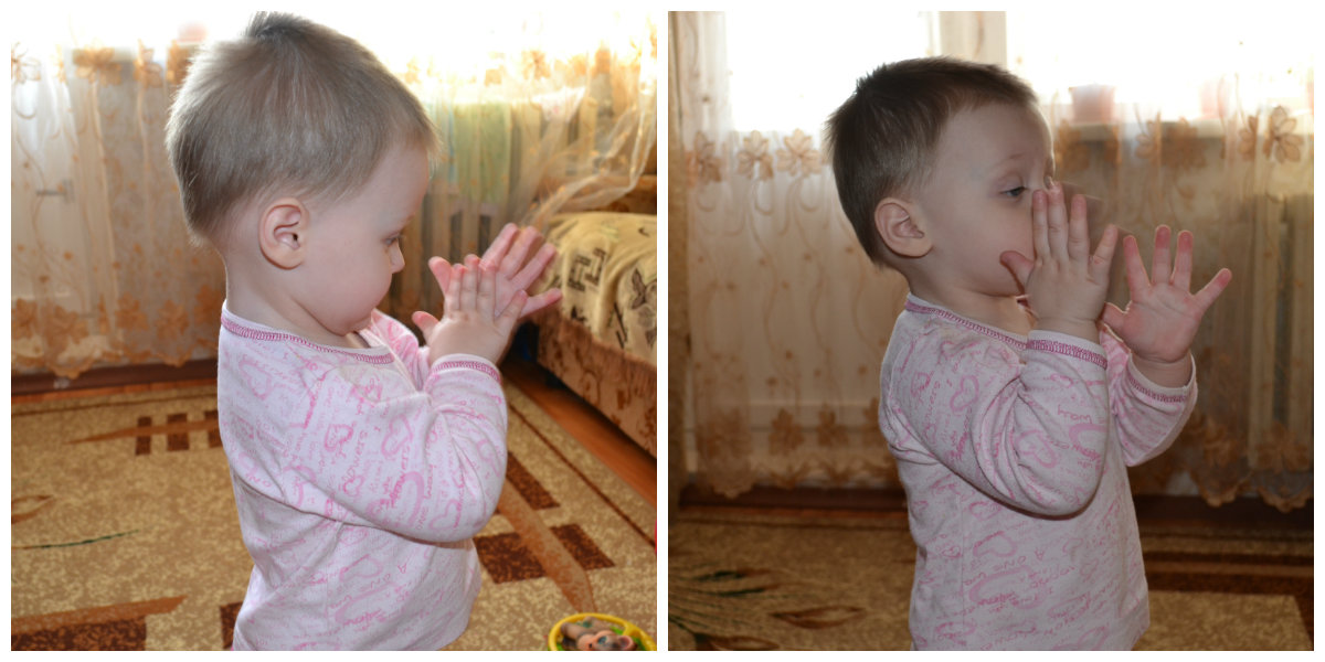 ТН Лесные друзья. День 1 ЛИСА