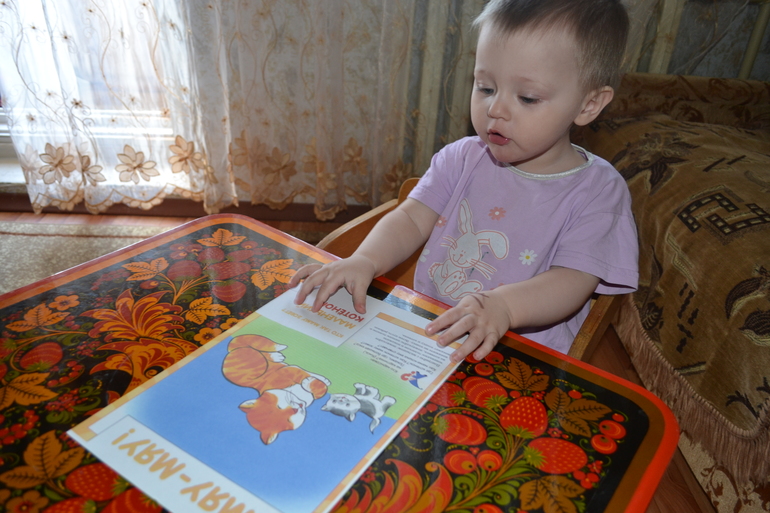 ТЗ Кот