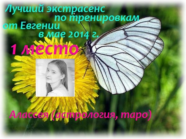 Мои дипломы