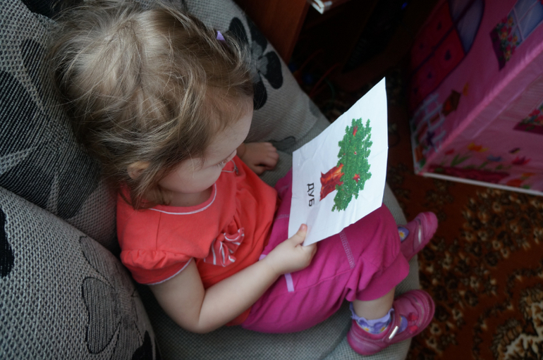 ТН Деревья первый день