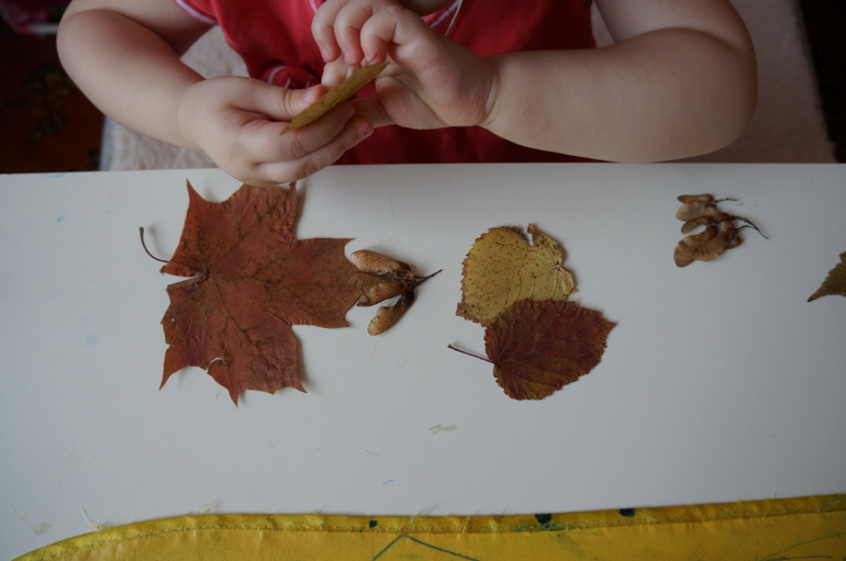 ТН Деревья первый день