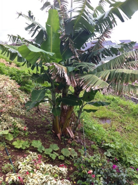 Взлет 72 Шаг 21