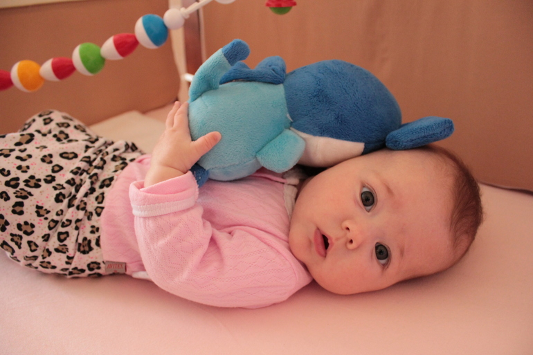 Сашка в Игрушках