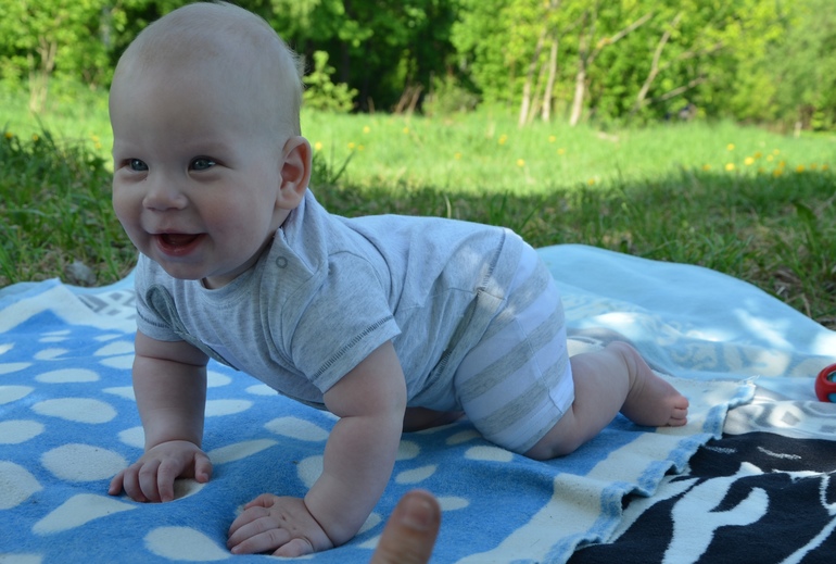 Полугодовасие