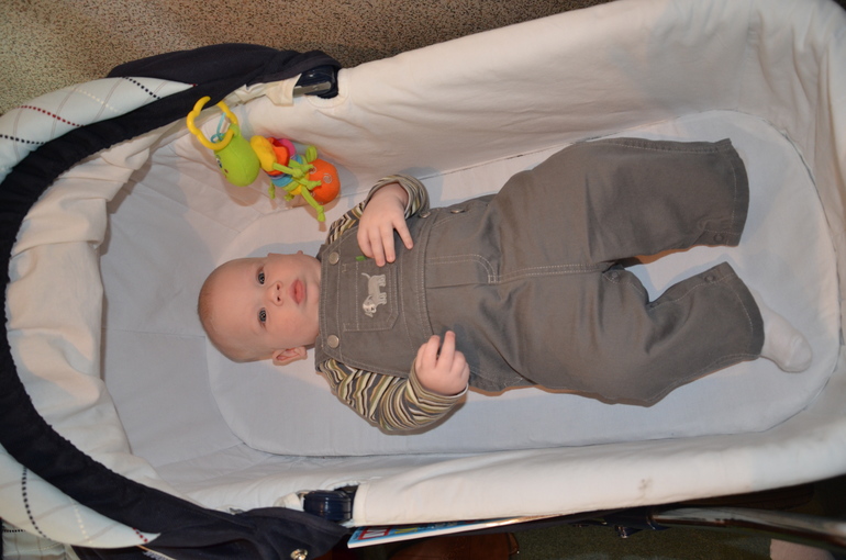 Полугодовасие