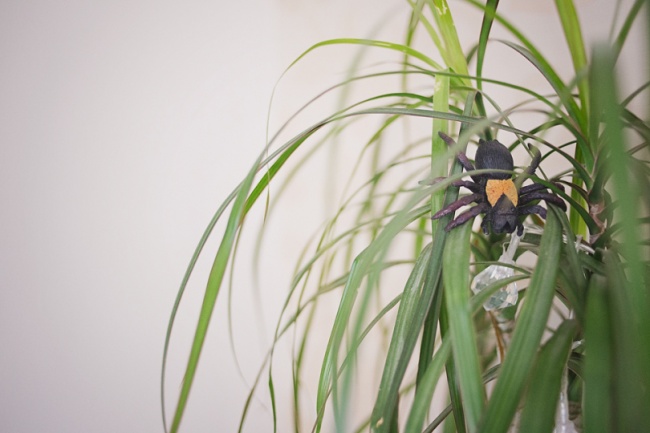 Здесь были дети