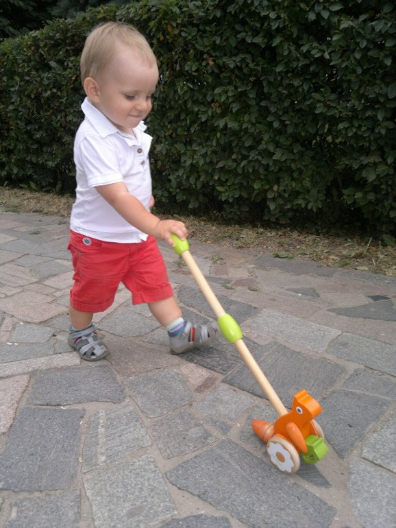 Игрушки из Европы:HABA,DJECO,JANOD,LILIPUTIENS,RUVENSBURGER,EBULOBO,MOULIN ROTY и другие)