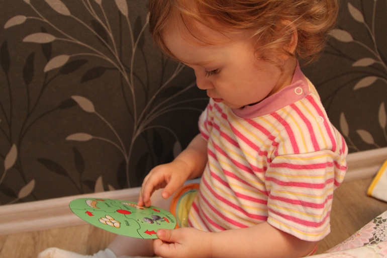 Отчет по ТН "Насекомые" . День 3 - Муравей