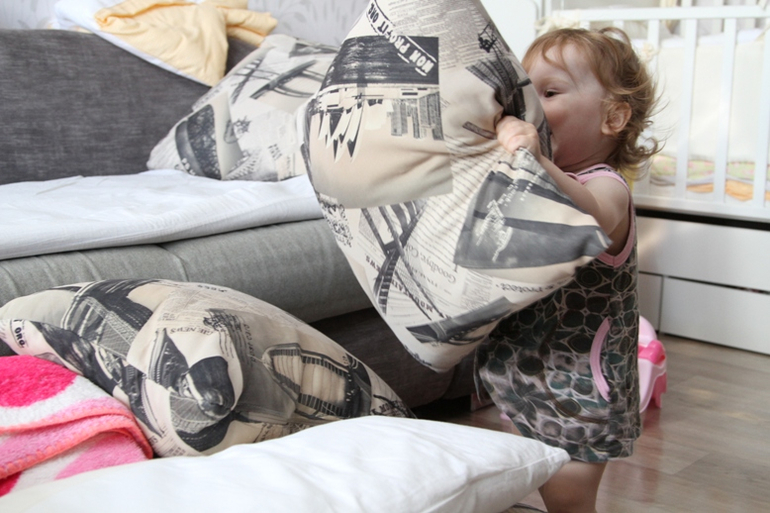 Отчет по ТН "Насекомые" . День 3 - Муравей