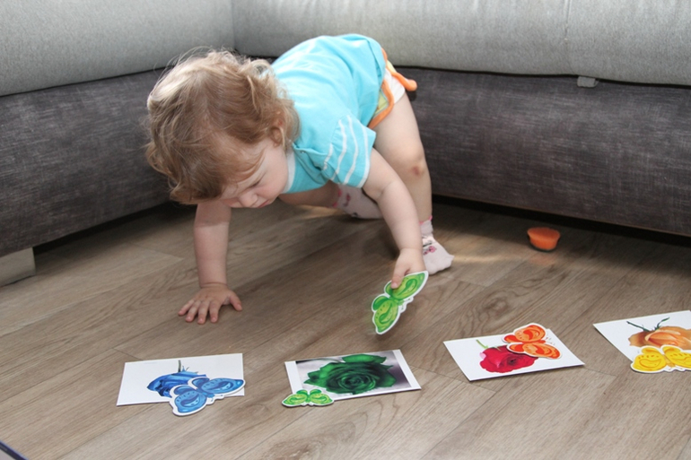 Отчет по ТН "Насекомые" . День 1 - Бабочка