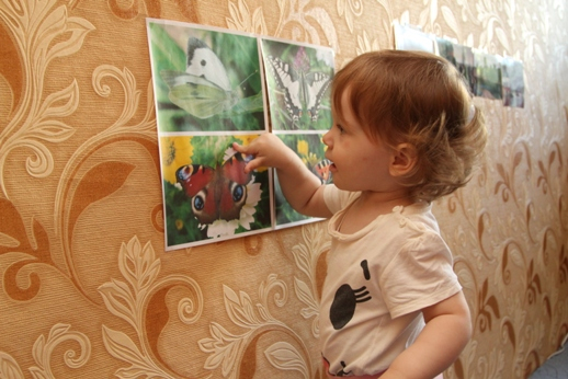 ТЗ "Бабочки-красавицы" в проекте "Гуляем-изучаем".