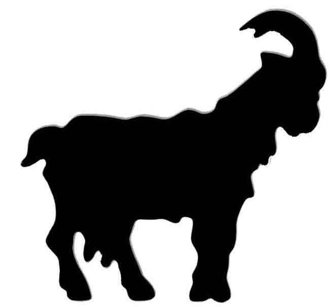 a5e857ff0c1e582fb824946dc4e361ff.jpg