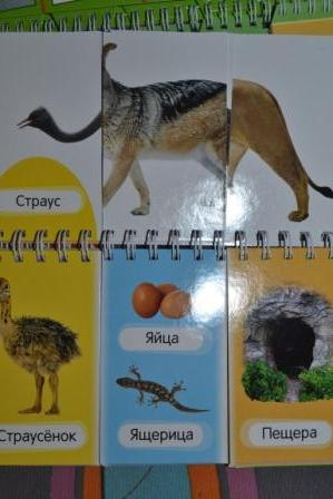 Книги для самых маленьких.