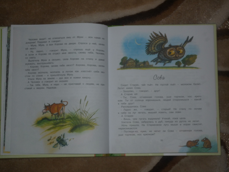 Сегодня к нам приехали...