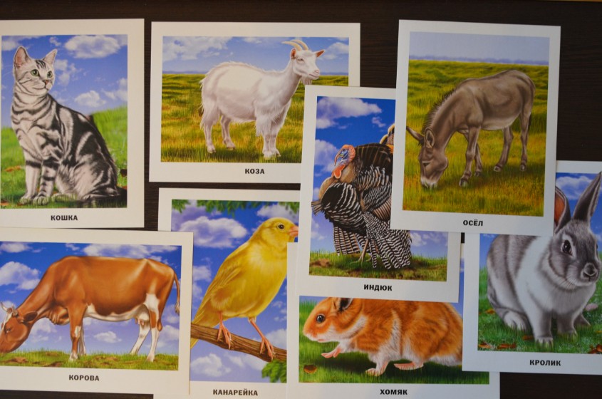 Обзор карточек