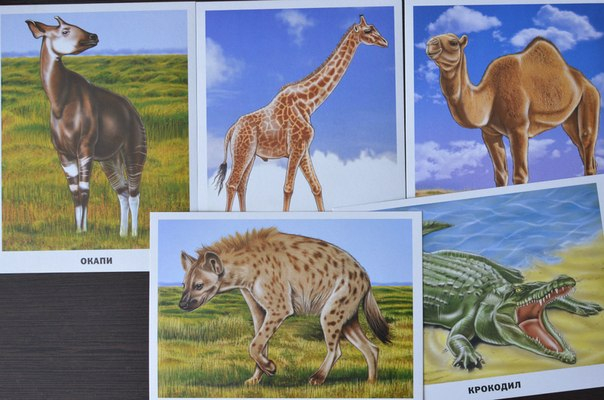 Обзор карточек