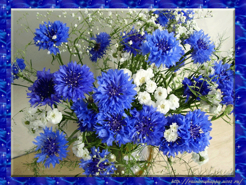 e2886bbffd9e0f02efd4be31107bf947.gif