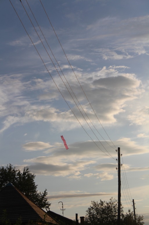 Наше летнее полугодовасие!!!!