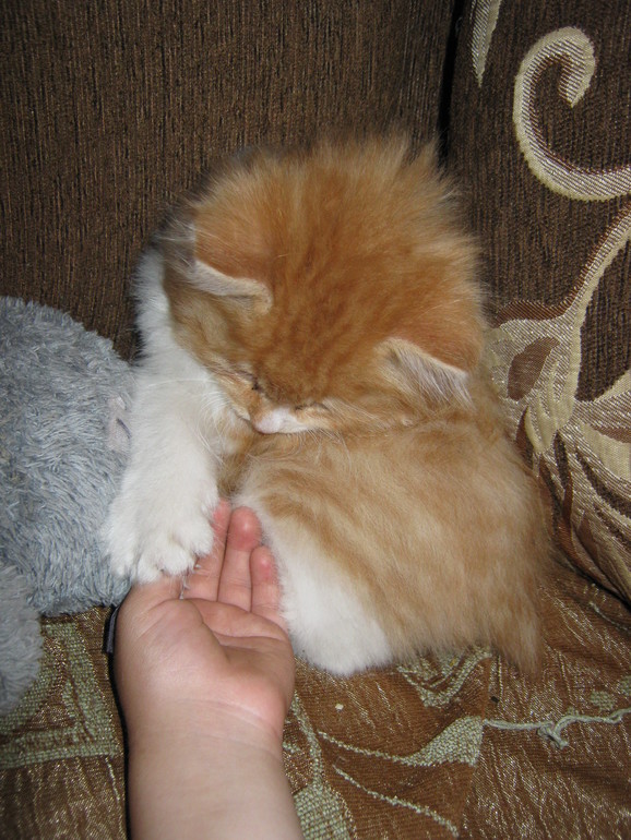 Что может быть страшнее троих маленьких детей?