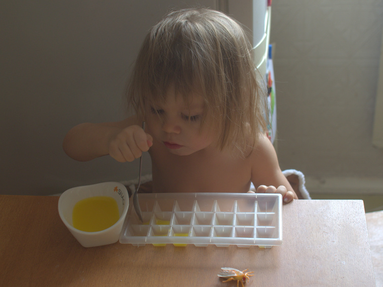 ТН Насекомые. 3 день (пчела)