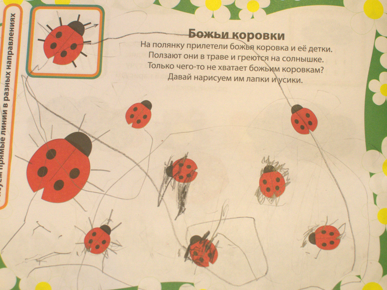 ТН Насекомые. 4 день (божья коровка)