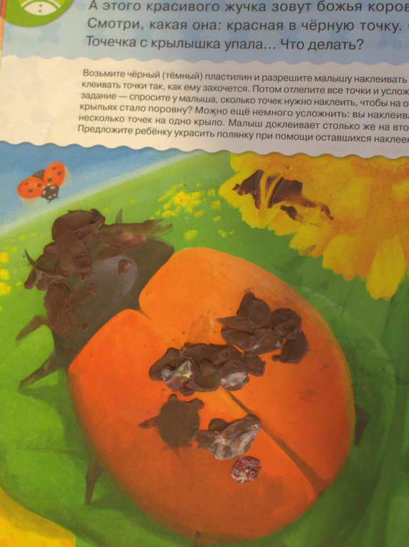 ТН Насекомые. 4 день (божья коровка)